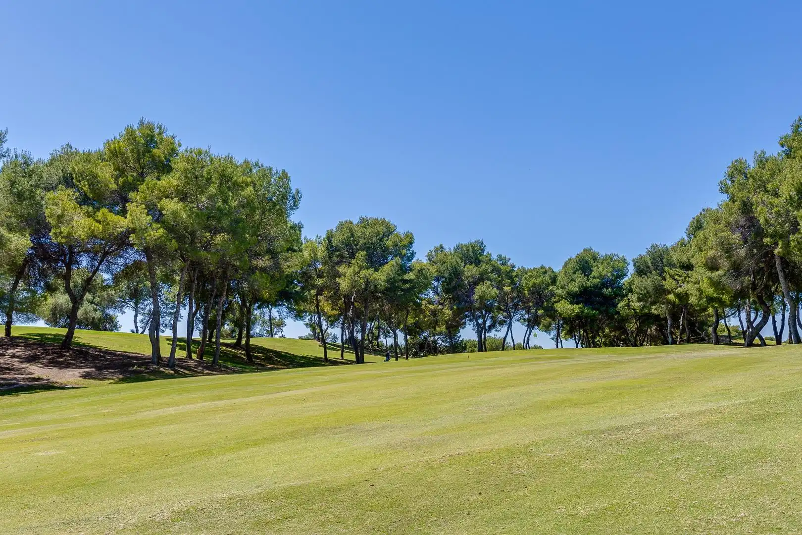 Mini appartamento con terrazza in affitto a Campo de Golf Lomas de Campoamor, imagen 90
