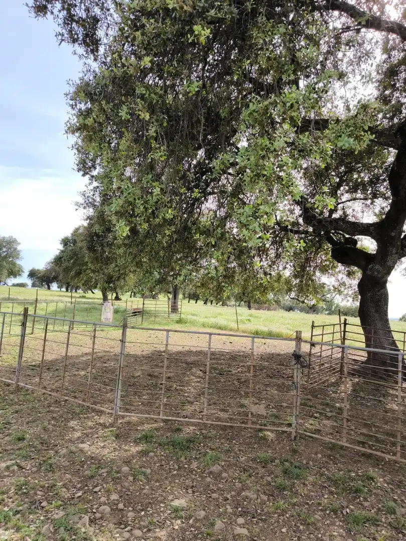 Rural land for sale in Fuente Obejuna, imagen 7