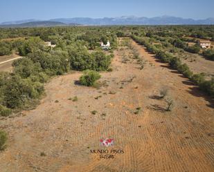 Residential for sale in Diseminado Es Rafalet, Polígono 5, Parcelas 91, 90, Algaida