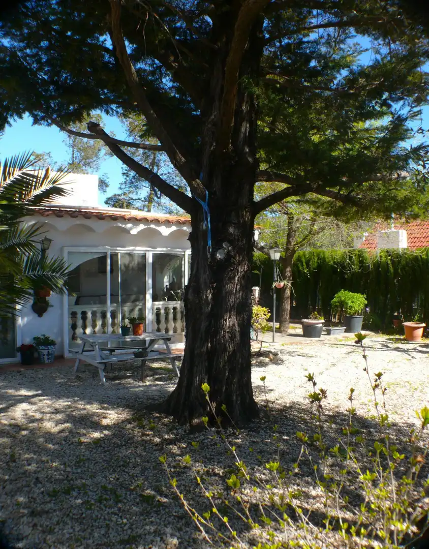 Jardí de Casa o xalet en venda en Mogente / Moixent amb Aire condicionat, Calefacció i Jardí privat