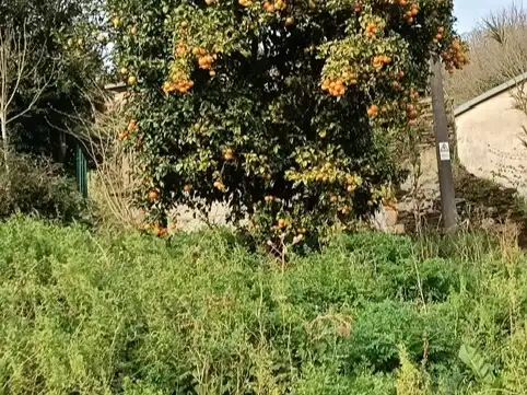 Garden of Residential for sale in Cabanas, A Coruña