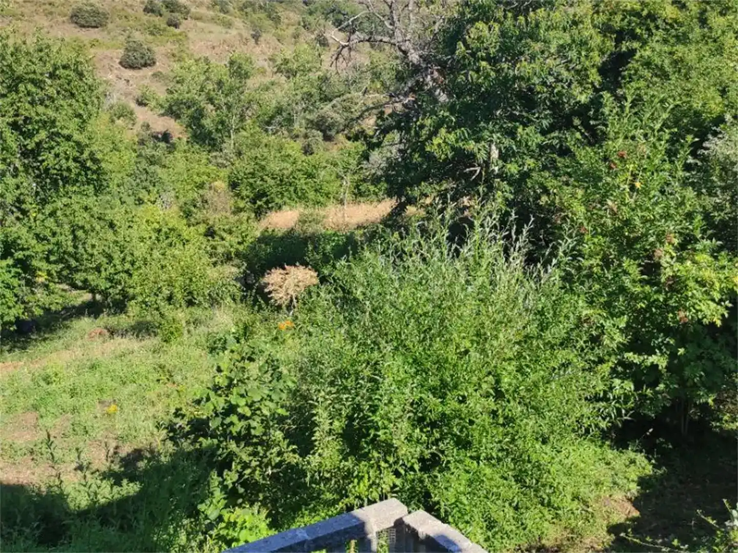 Casa o xalet en venda en Ponferrada amb Parquet, TV i Balcó