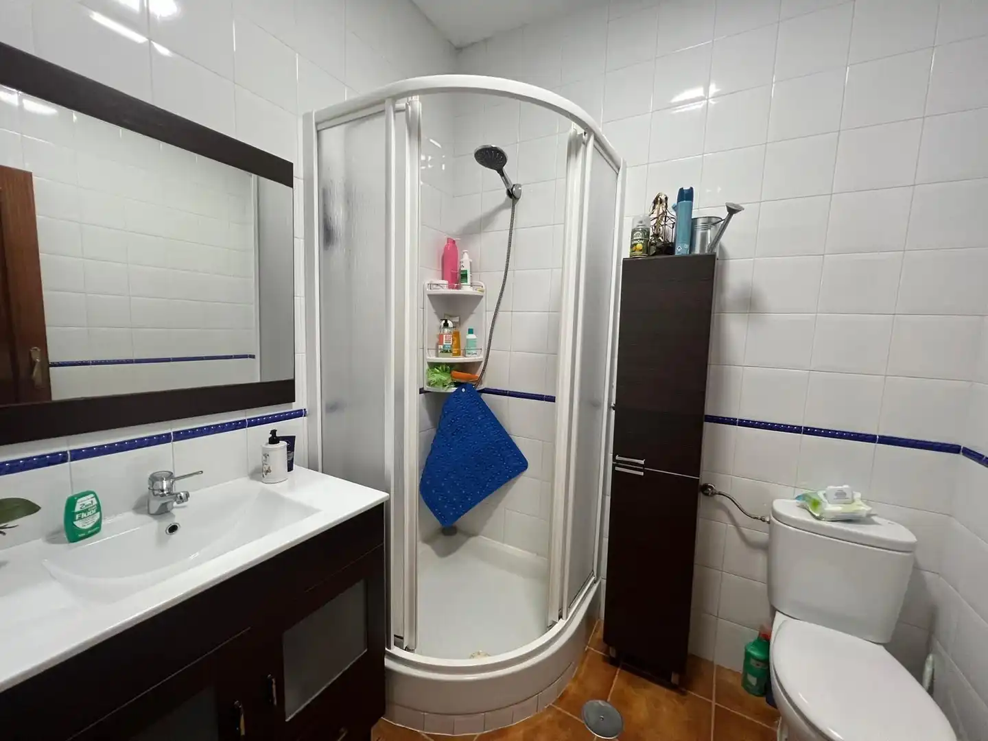 Baño de Casa o chalet en venta en Aranjuez con Aire acondicionado, Calefacción y Jardín privado
