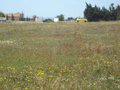 Terreni e lotti in vendita a Vejer, imagen 7