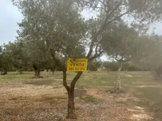 Terreny rústic en venda a San Rafael del Río, imagen 14