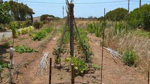 Foto 3 de Finca rústica en venta en Las Lagunas - Campano, Cádiz