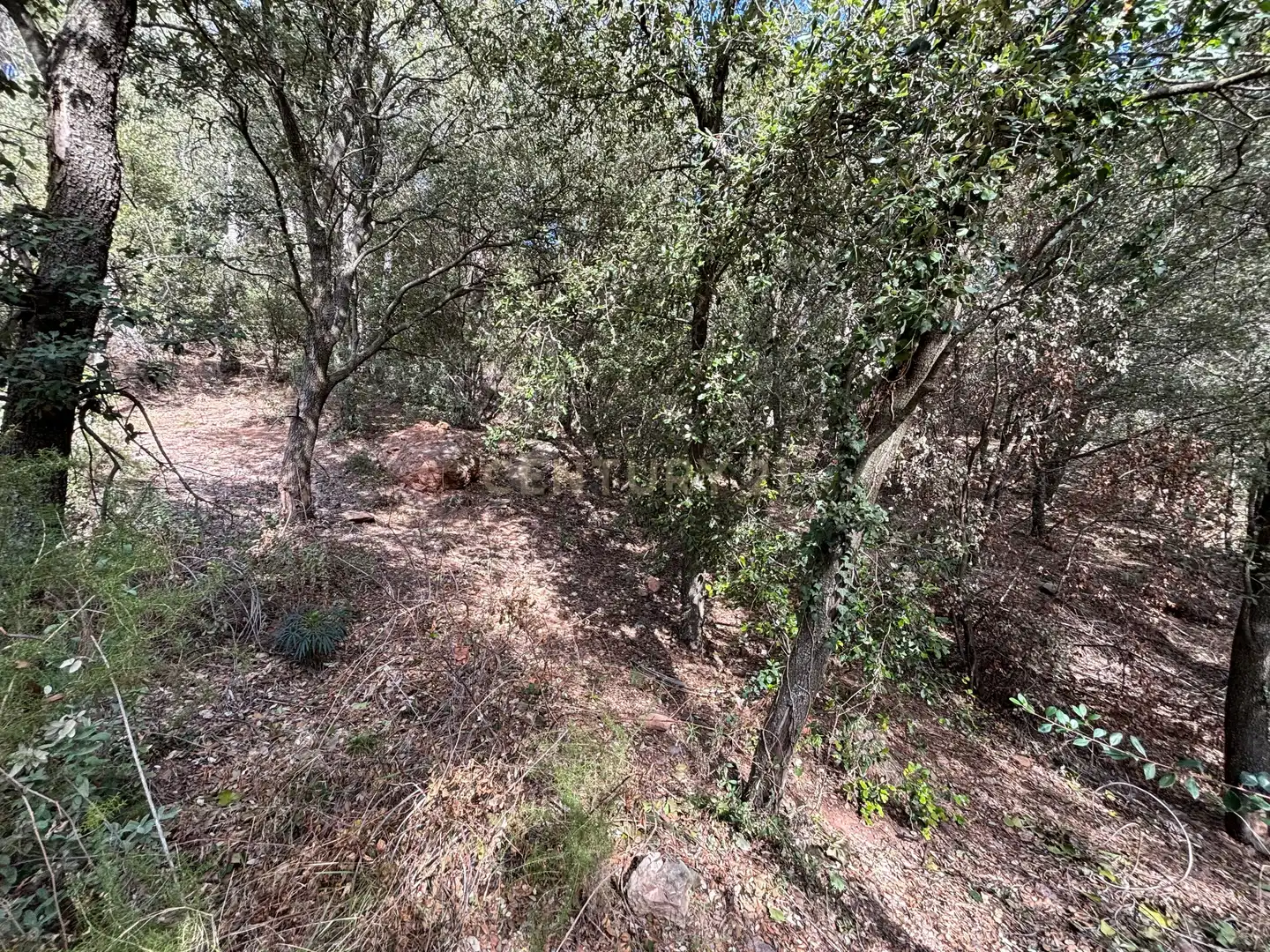 Terrain résidentiel à vendre à moliner 35, imagen 17