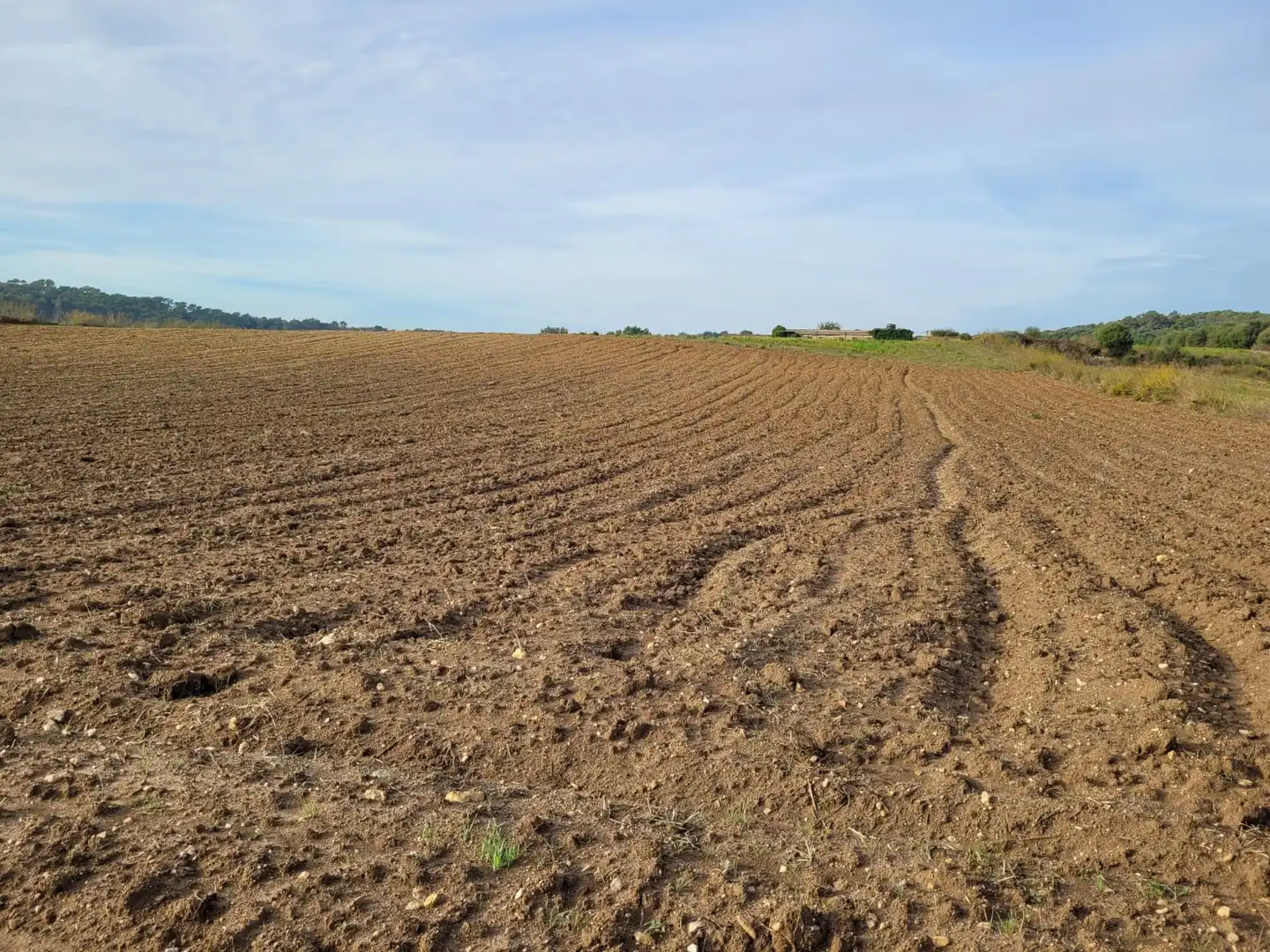 Rural land for sale in Sant Llorenç des Cardassar