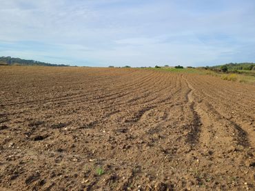 Rustikales Grundstück zum Verkauf in Sant Llorenç des Cardassar