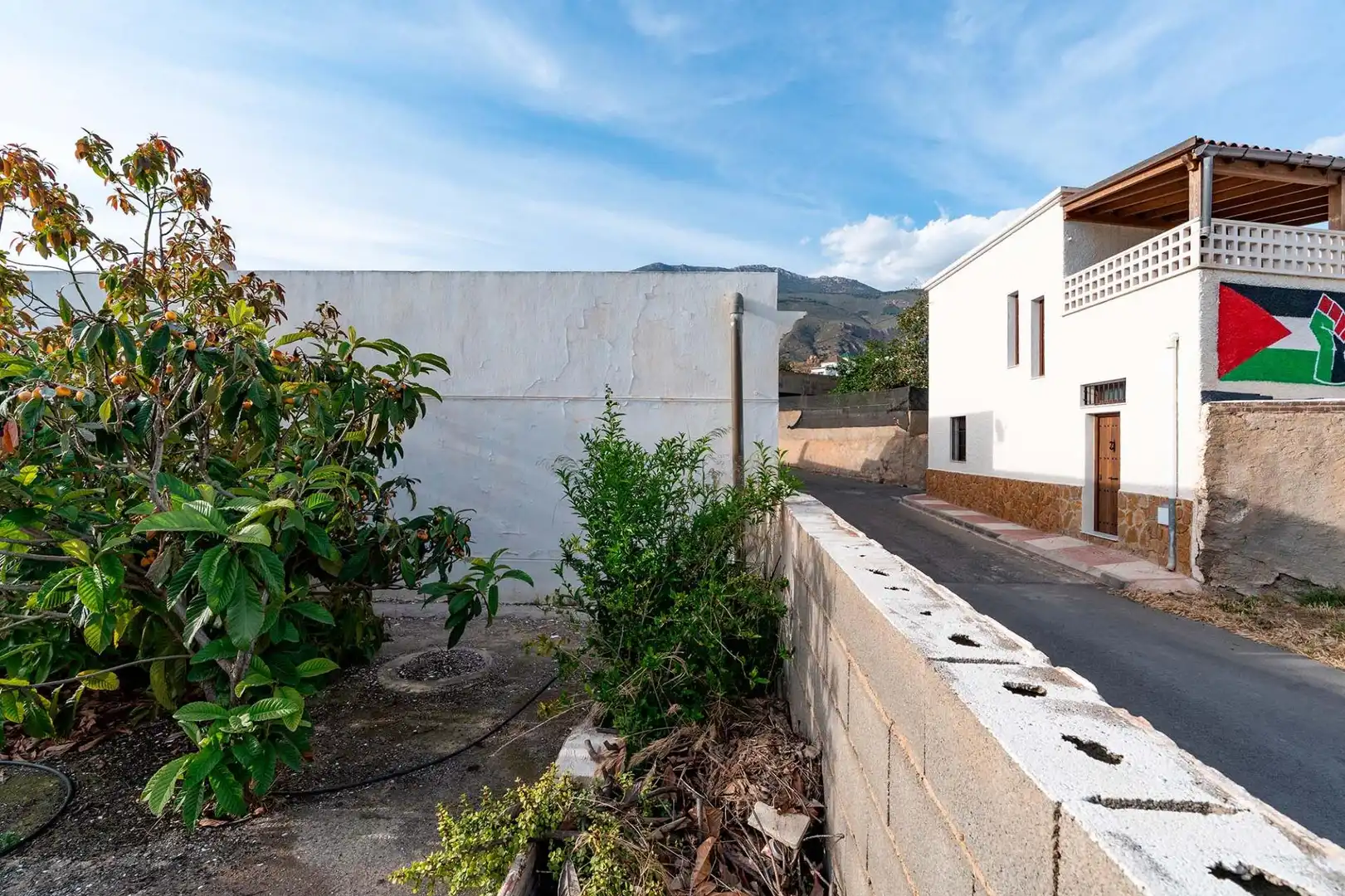 Vista exterior de Casa o chalet en venta en Dalías con Jardín privado y Trastero