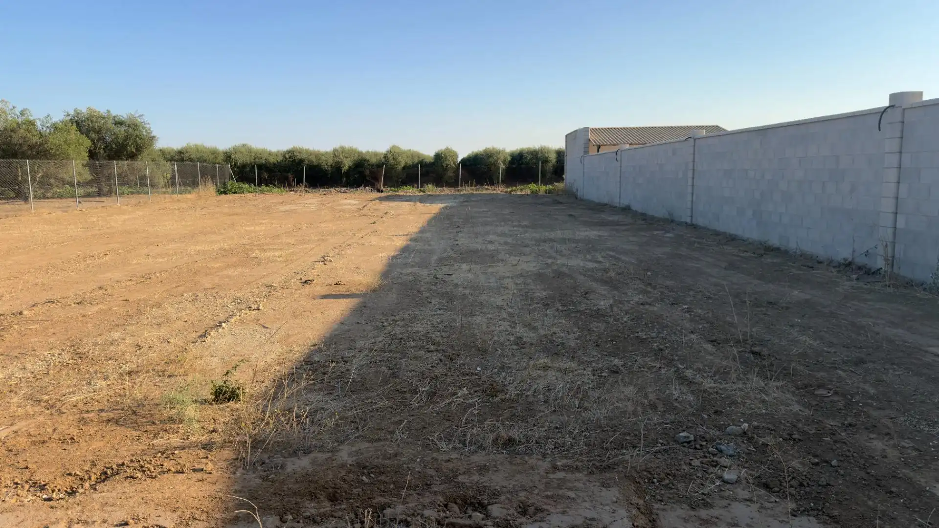Terreno rústico en venta en Los Palacios y Villafranca, imagen 4