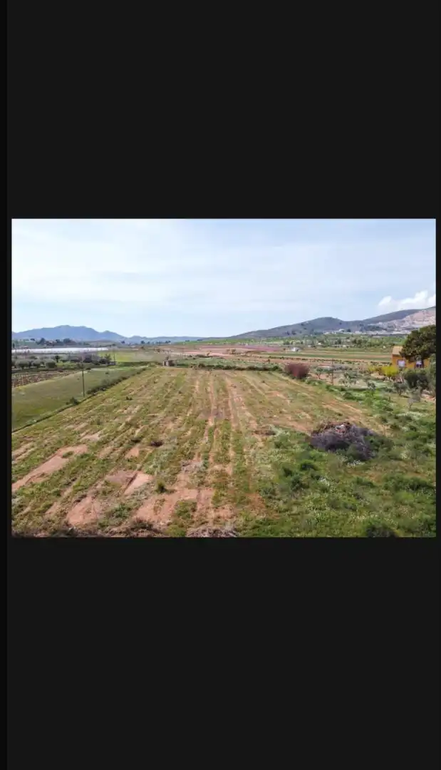 Rural land for sale in Hondón de las Nieves / El Fondó de les Neus, imagen 7