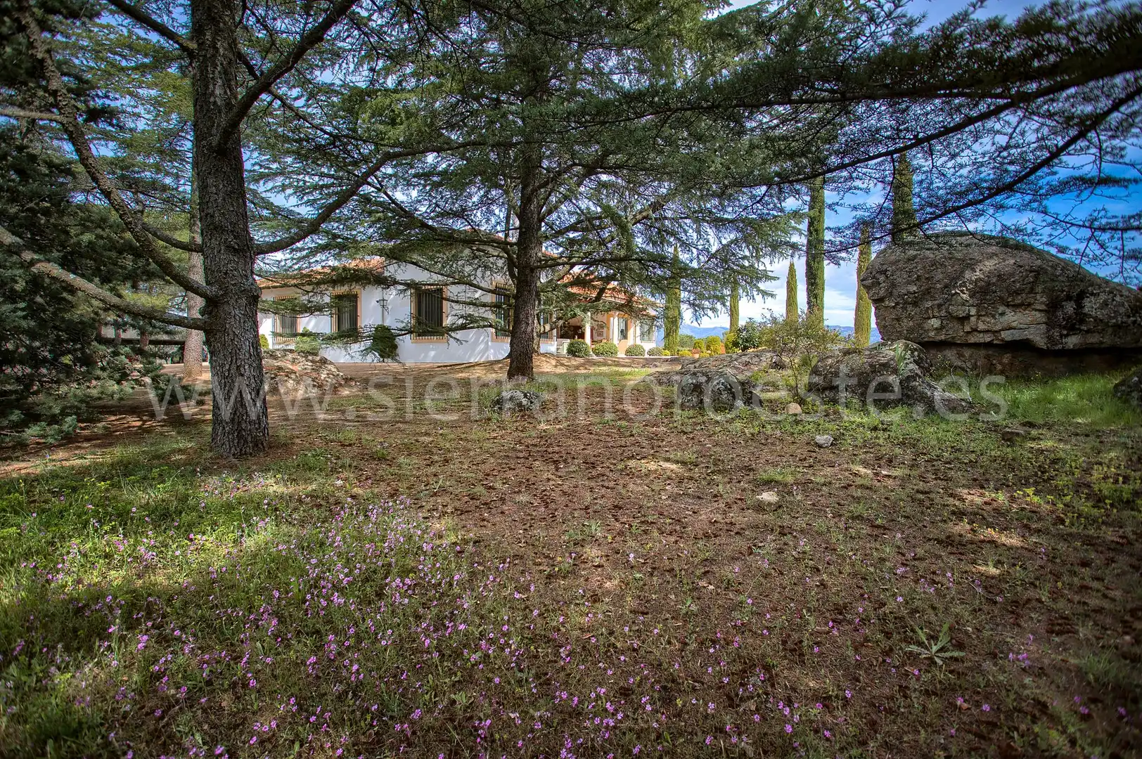 Casa o chalet en venta en Puerto de Galapagar - Las Cuestas