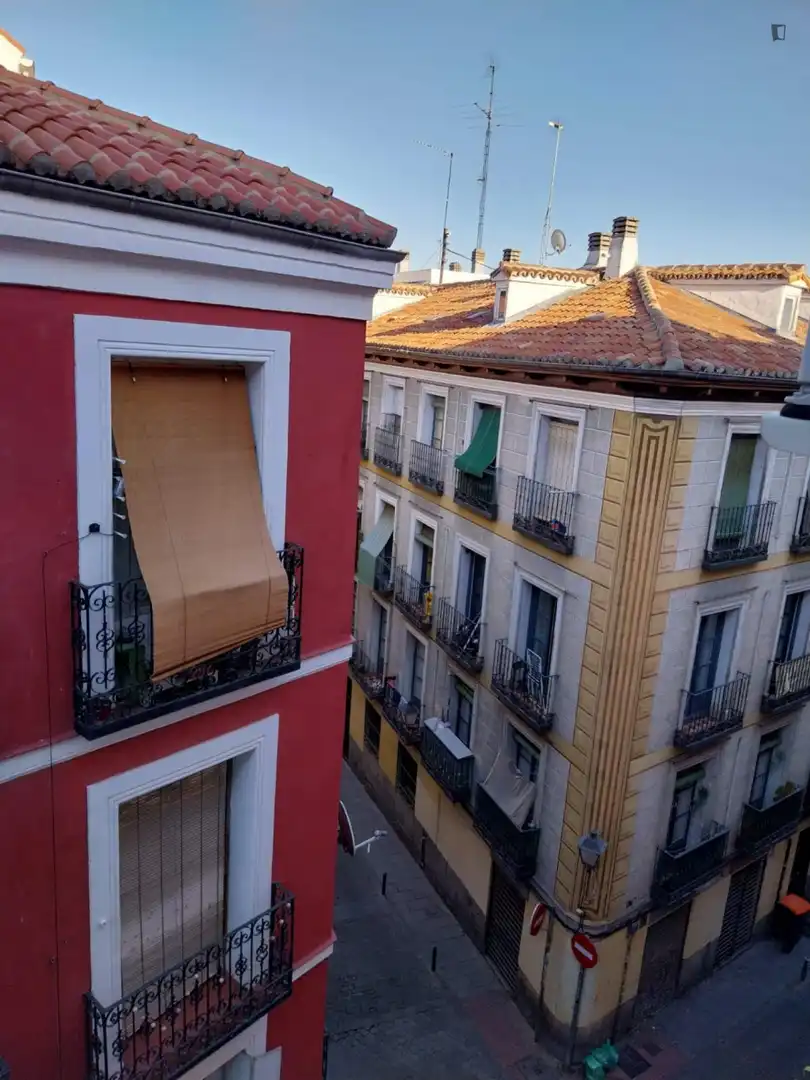 Estudio en alquiler en Centro, imagen 19