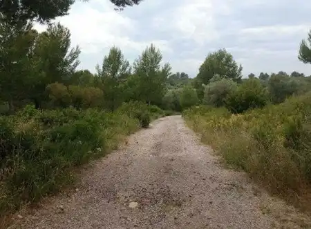 Terreny rústic en venda a PT Urb La Foya, imagen 8
