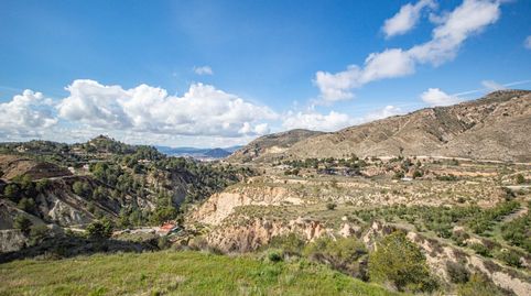 Foto 2 von Haus oder Chalet zum Verkauf in Figueralet el, 16, Petrer, Alicante