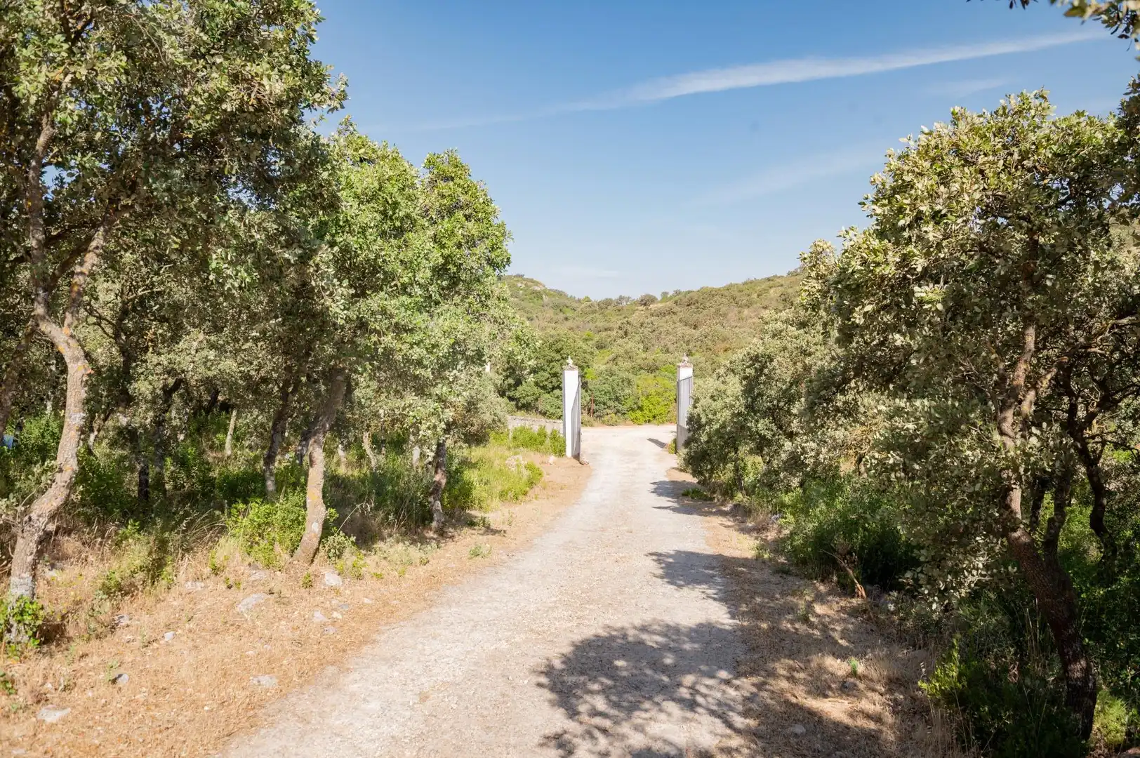 Casa con piscina in vendita a Bobadilla - Bobadilla Estación - La Joya, imagen 55