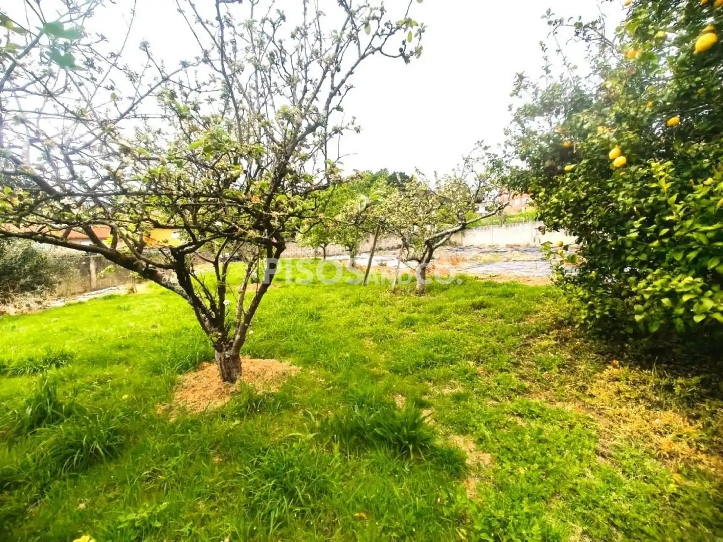 Casa o chalet en venta en Culleredo con Calefacción, Terraza y Amueblado