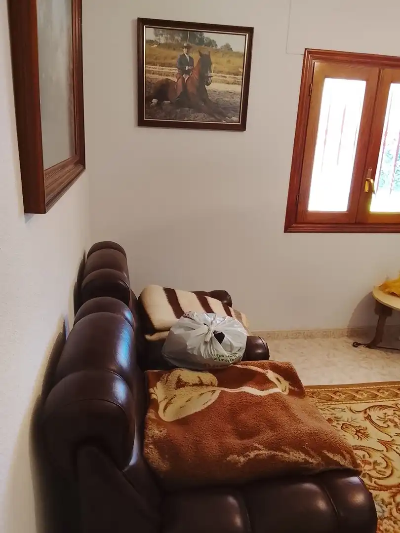 Sala de estar de Terreno en venta en Candeleda