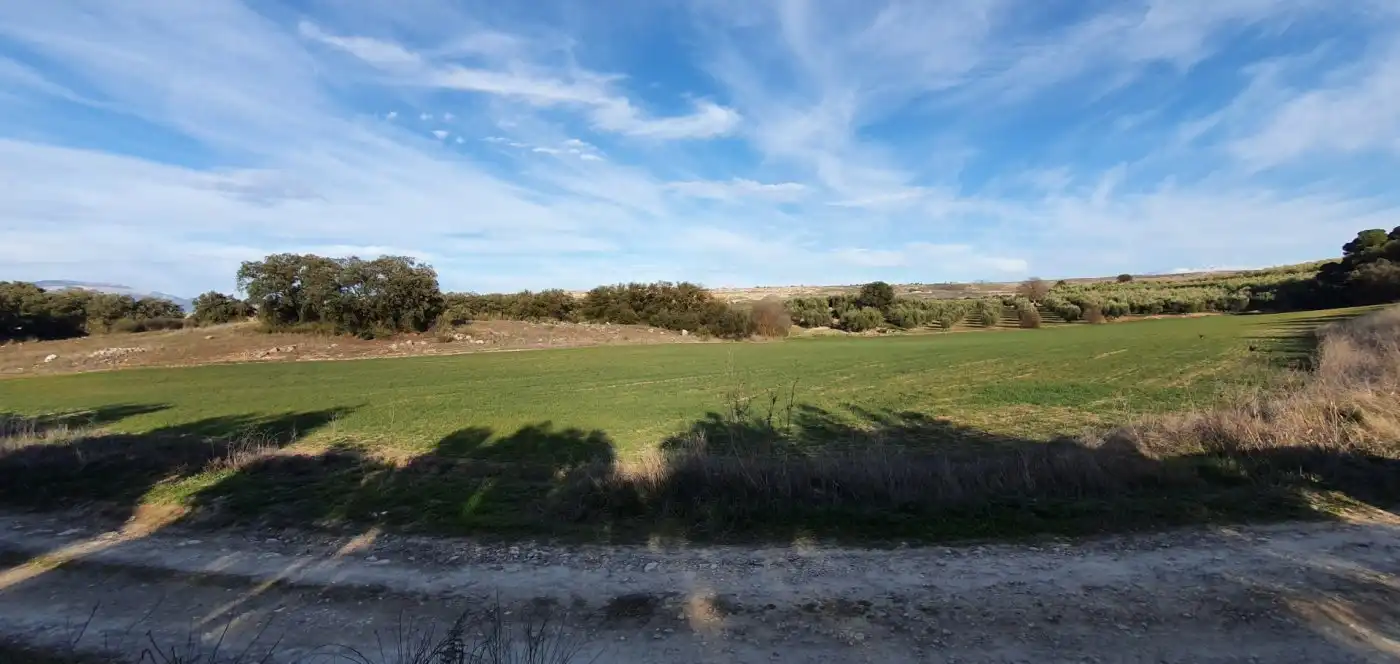 Finca rústica en venta en Moraleda de Zafayona