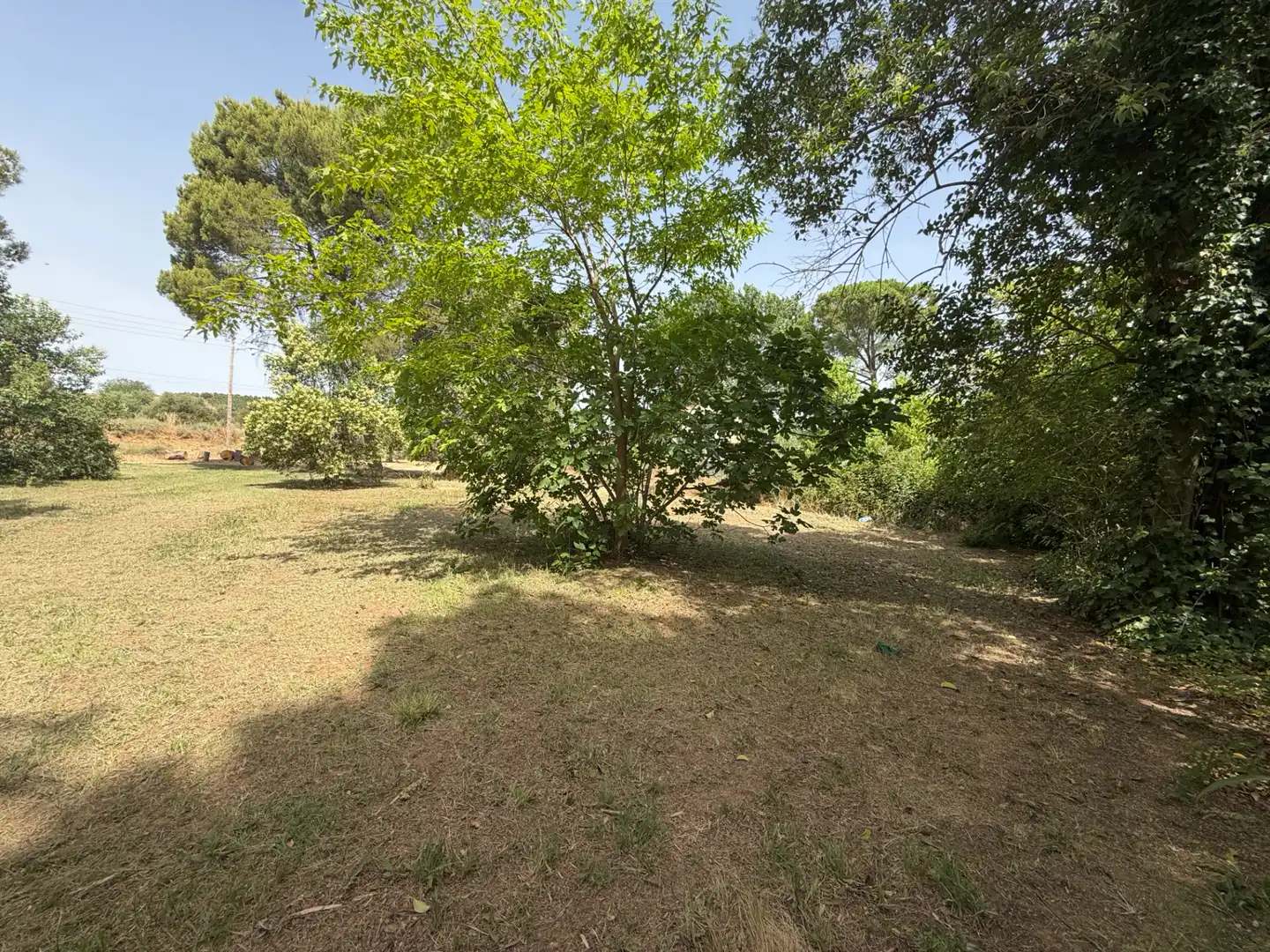 Residencial en venda a Camí de Lleida, 14, Els Alamús