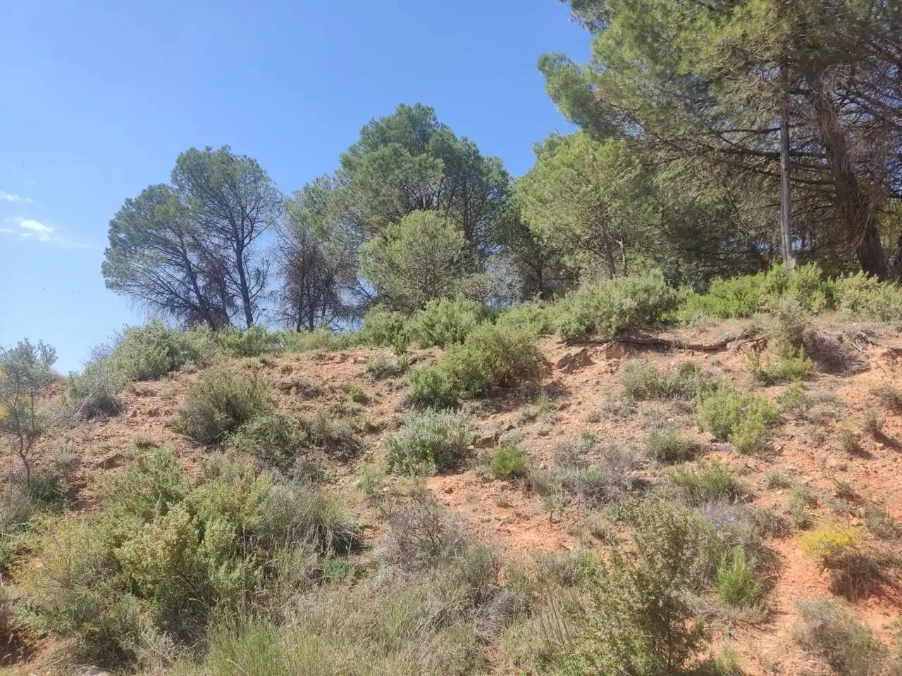 Lands and plots for sale in Avenida Madrid Valencia, imagen 7