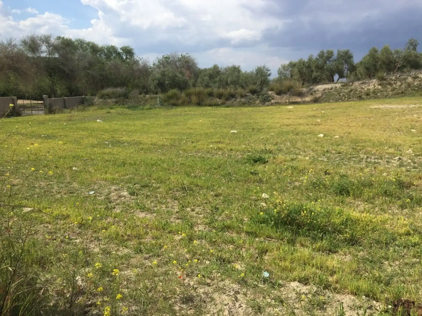 Terrenos y solares en venta en Úbeda, imagen 5