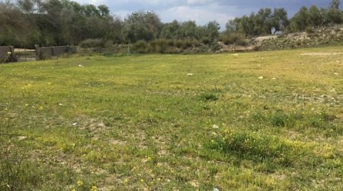 Estupenda parcela en santa eulalia., imatge 5