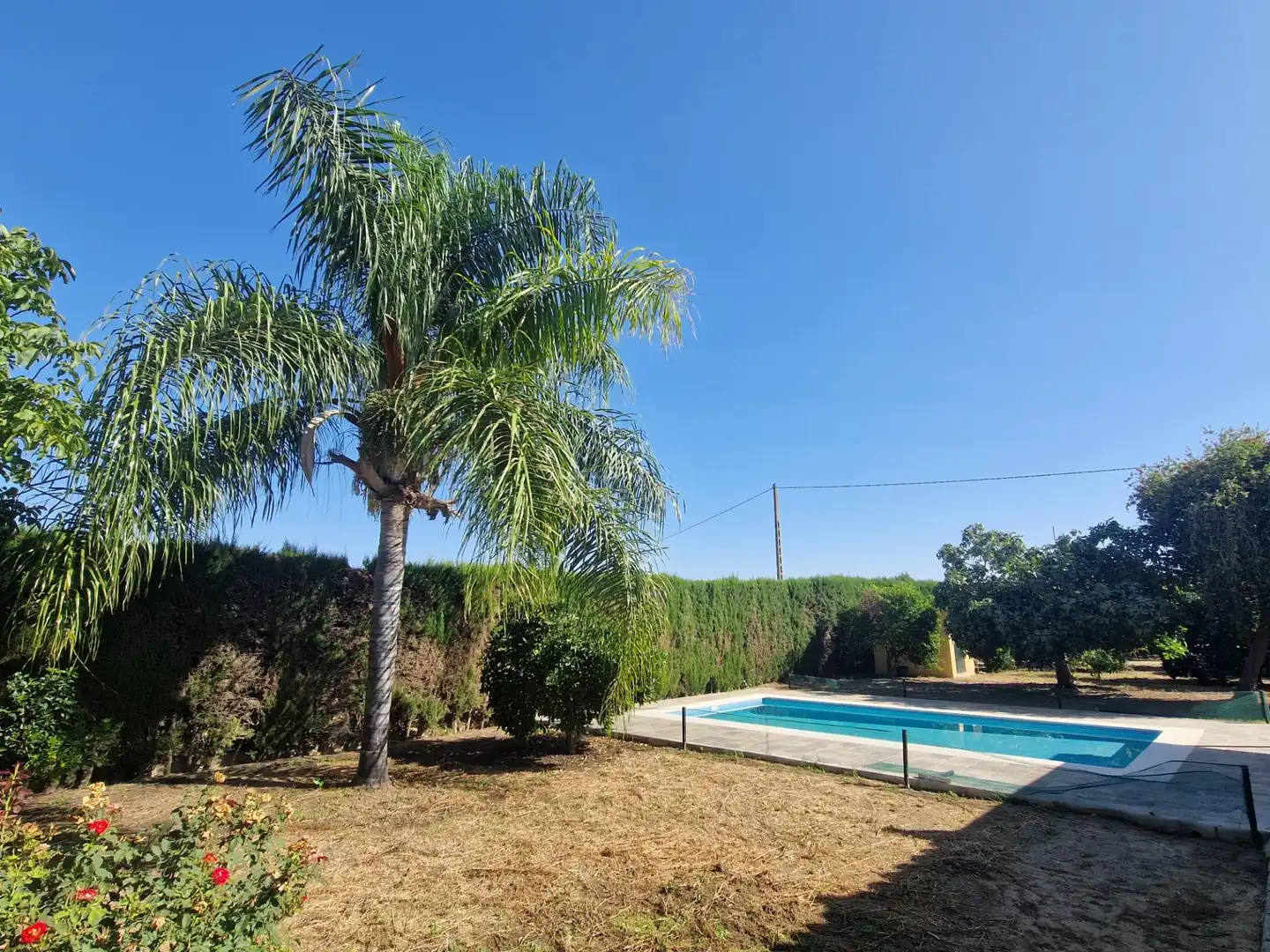 Piscina de Finca rústica en venta en Jerez de la Frontera con Aire acondicionado, Calefacción y Piscina