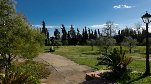 Foto 4 de Finca rústica en venta en C-31, 13, Pals, Girona