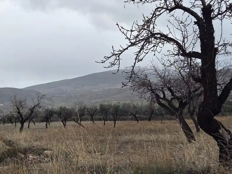 Grundstücke zum Verkauf in Abrucena