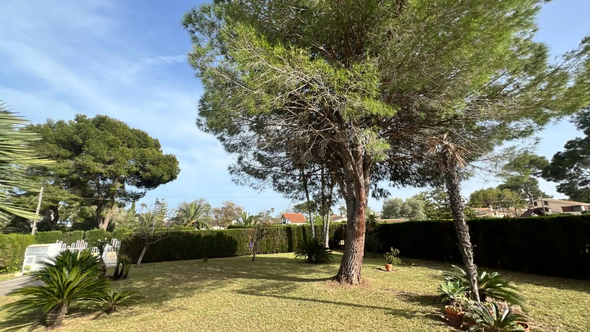 Jardín de Casa o chalet en venta en Castellón de la Plana / Castelló de la Plana con Aire acondicionado, Calefacción y Jardín privado