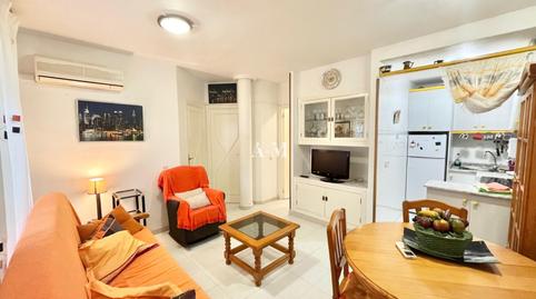 Foto 5 de Casa o xalet de lloguer a Los Balcones - Los Altos, Alicante