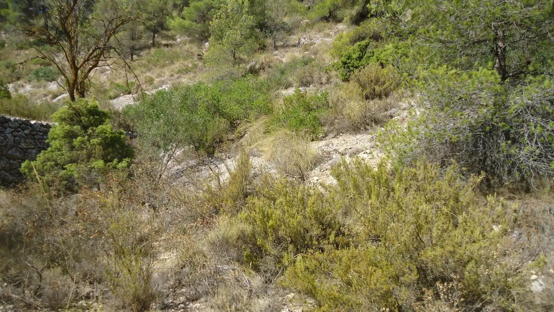 Lands and plots for sale in Abanilla, imagen 11