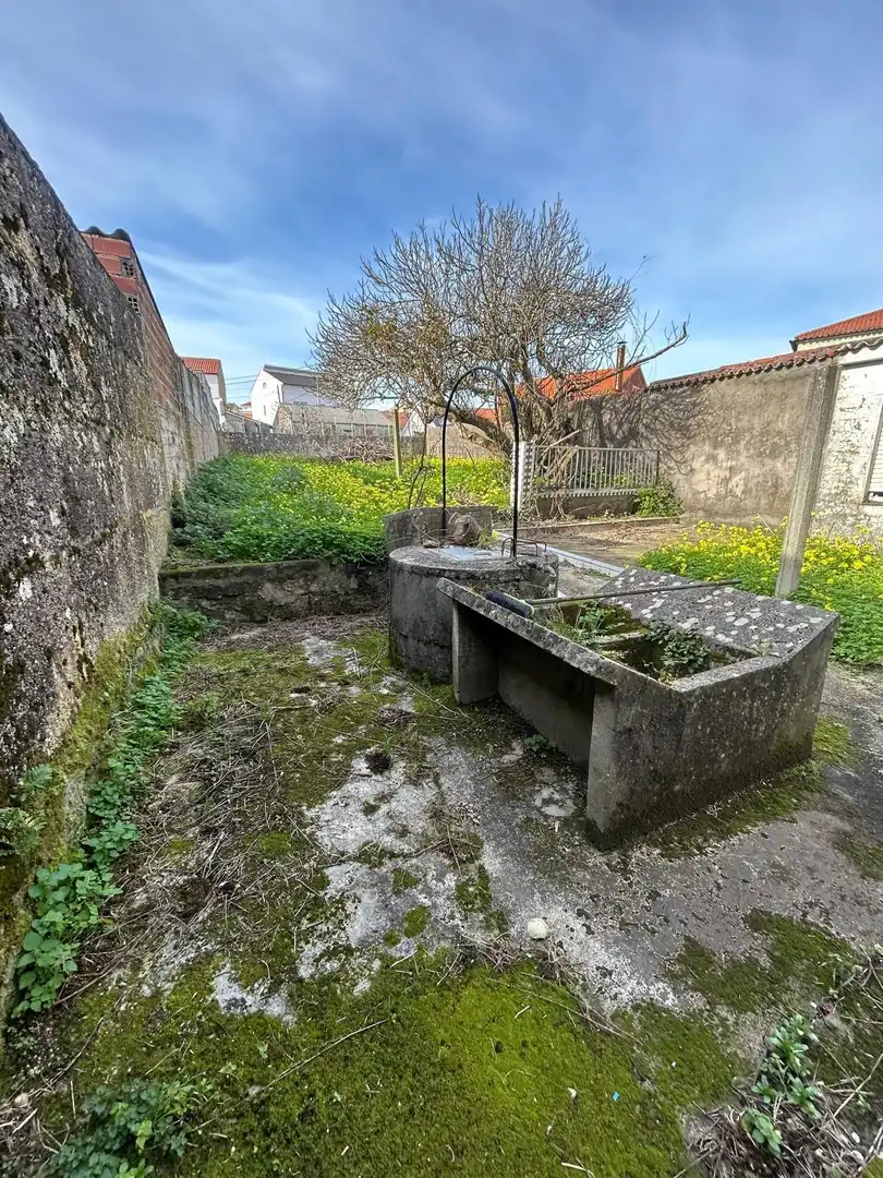 Garden of Houses for sale in Ribeira