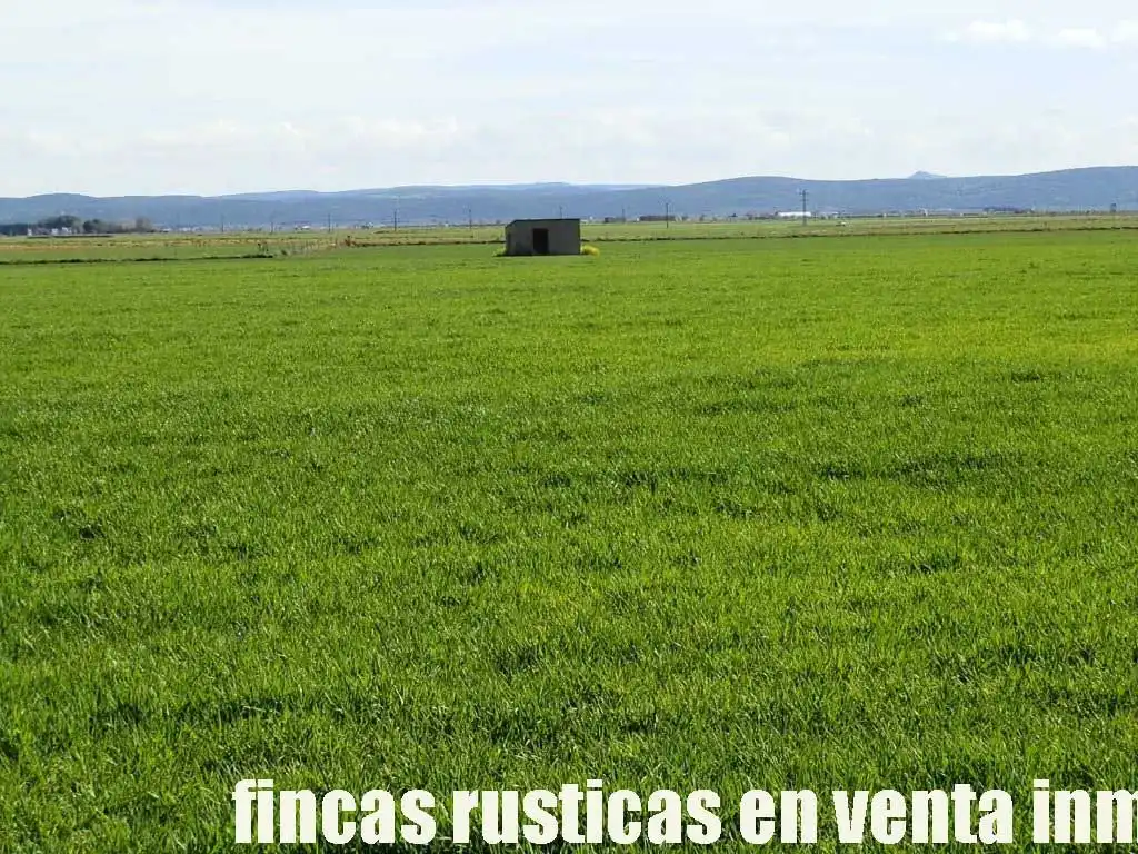Terreny rústic en venda a Manzanares, imagen 11