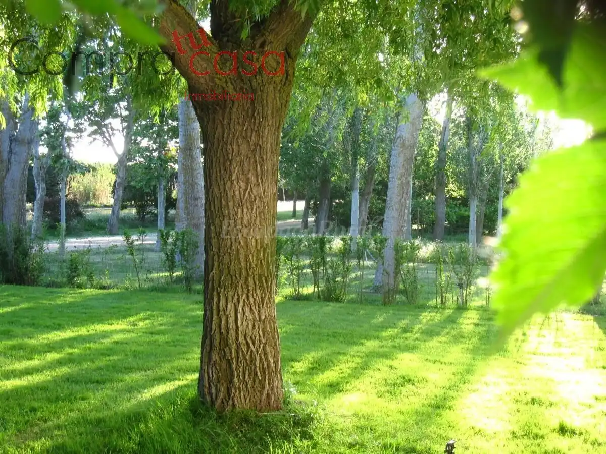 Jardín de Casa o chalet en venta en Valverde del Majano con Calefacción, Jardín privado y Terraza