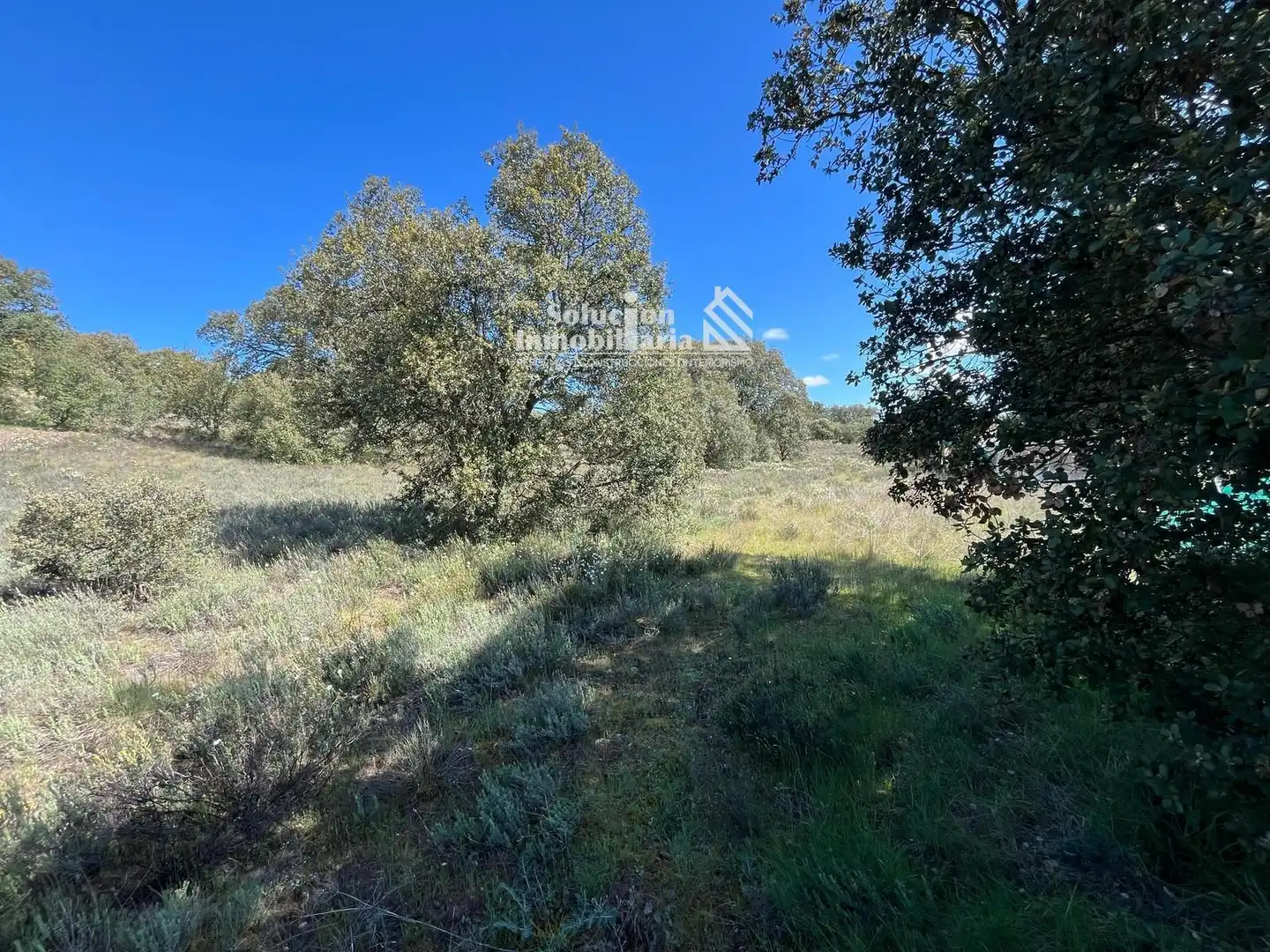 Terreno en venta en Terradillos