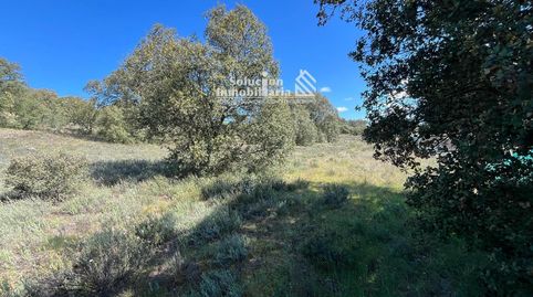 Foto 3 von Grundstücke zum Verkauf in Terradillos, Salamanca