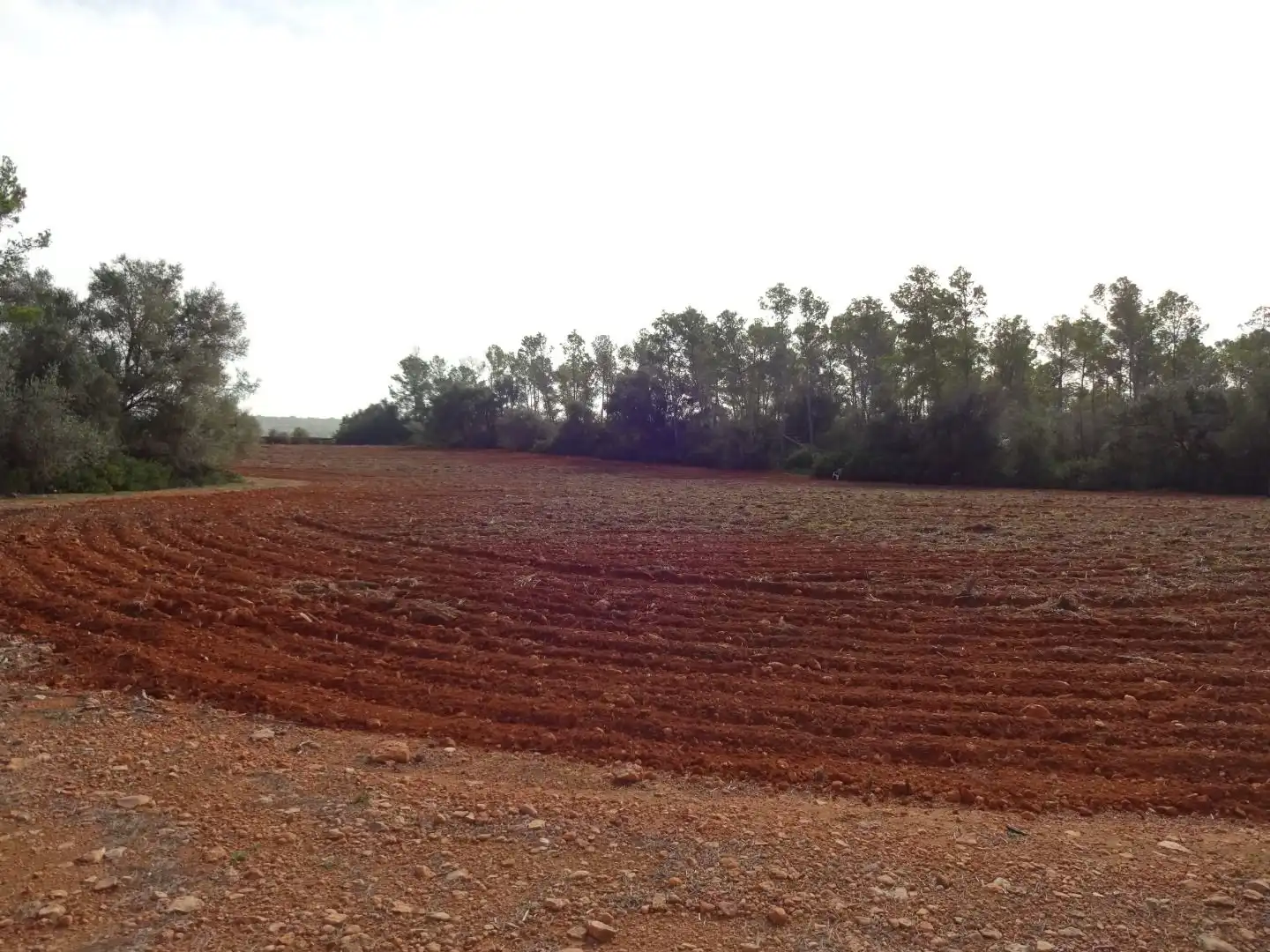 Finca rústica en venta en  Palma de Mallorca