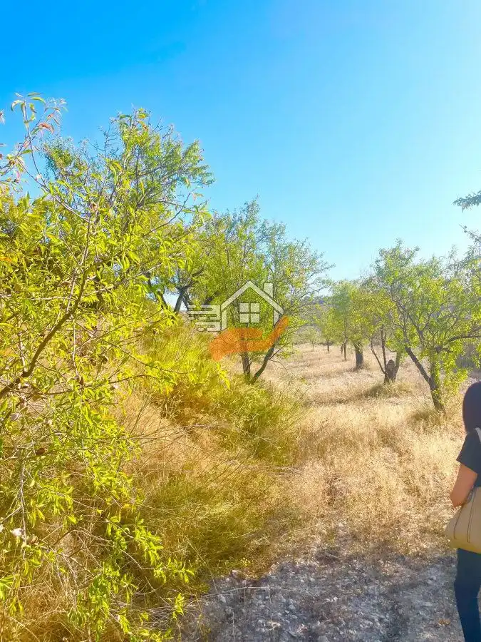 Lands and plots for sale in Vélez-Blanco, imagen 6