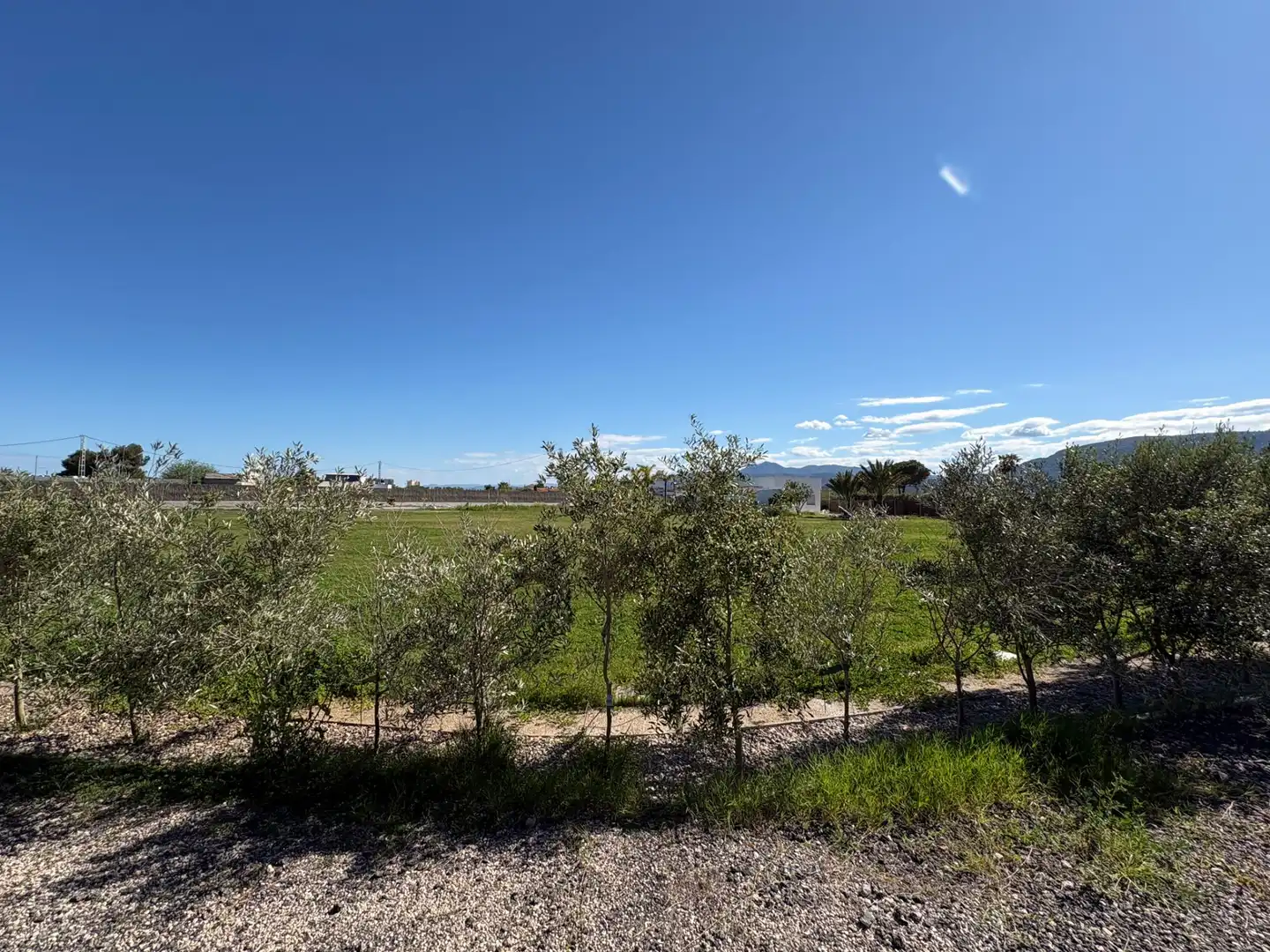 Detached house with garden to rent in El Marenyet, imagen 12