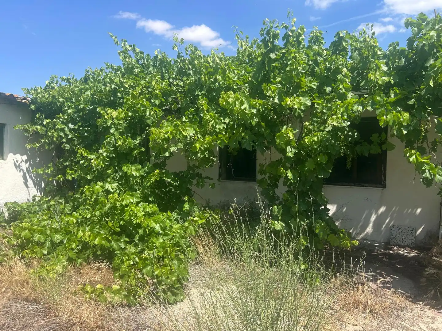 Jardín de Casa o chalet en venta en Tiñosillos