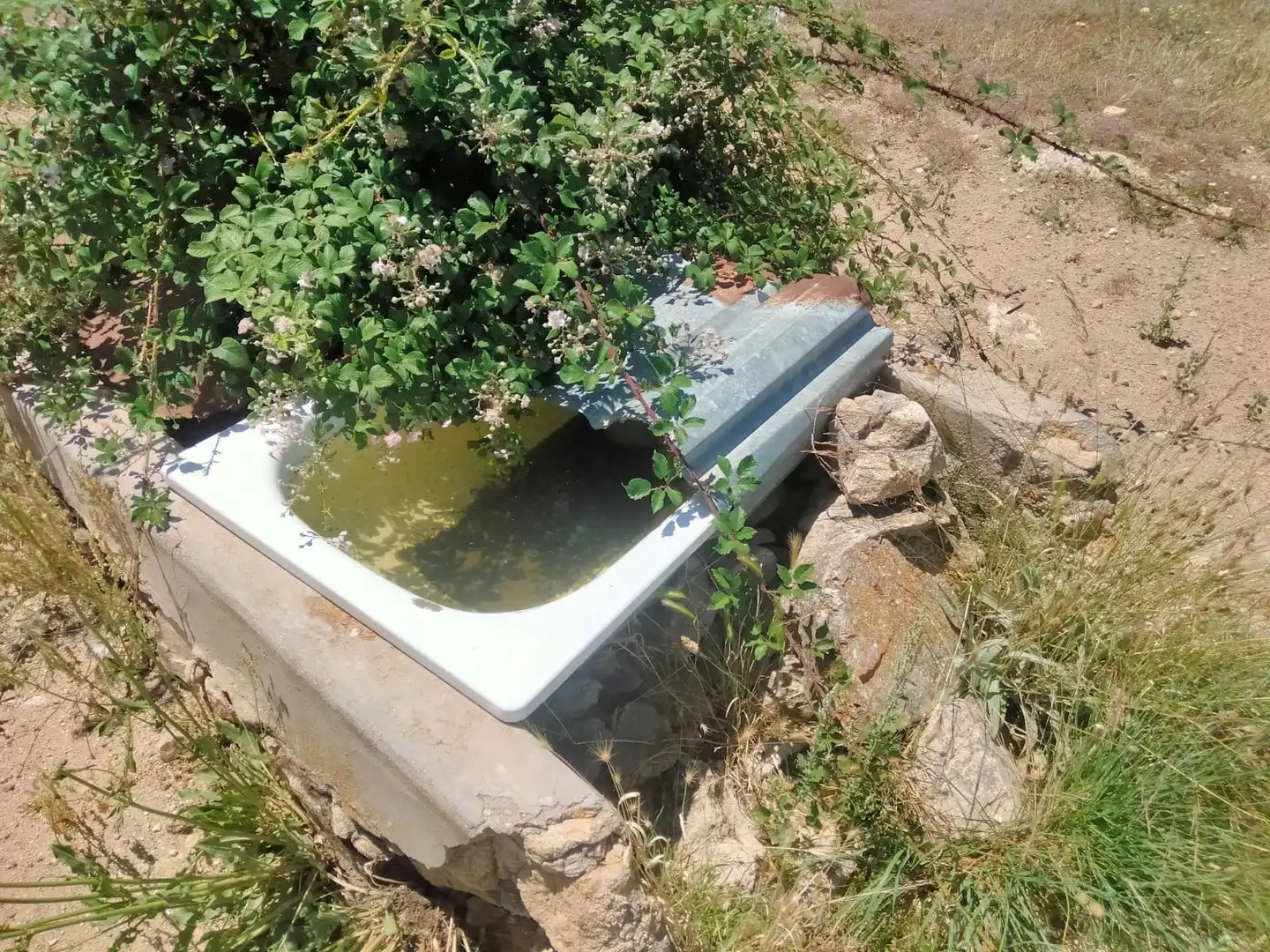Terreno rustico in vendita a Basardilla