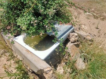 Terreno rustico in vendita a Basardilla