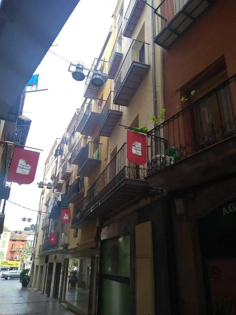 Terreno rústico en venta en MAJOR, imagen 3
