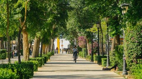 Photo 5 of Flat for sale in Calle de la Noria, Coria del Río, Sevilla