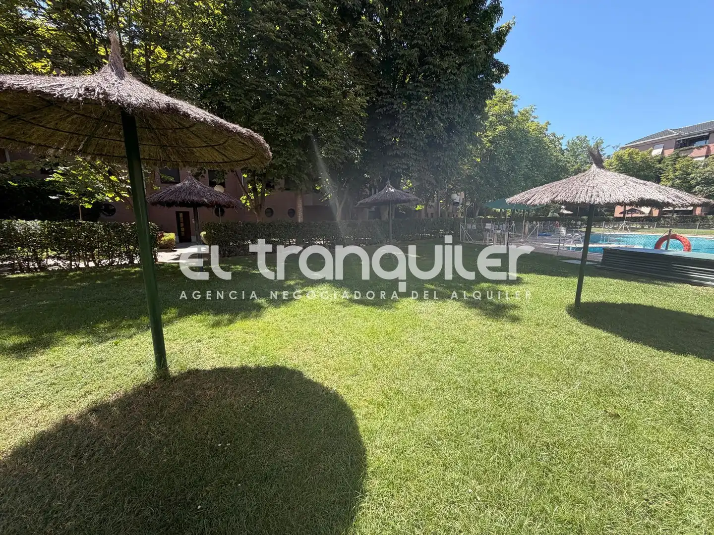 Garden of Flat for rent in Madrid  with Parquet flooring, Terrace and Swimming Pool