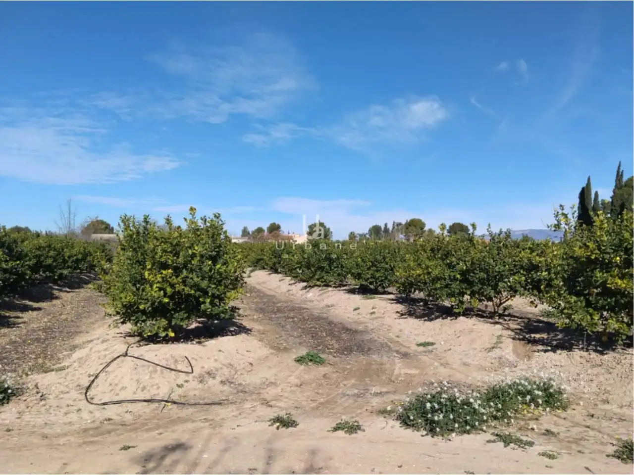 Terreny rústic en venda a Camino Huerta de Abajo, imagen 4