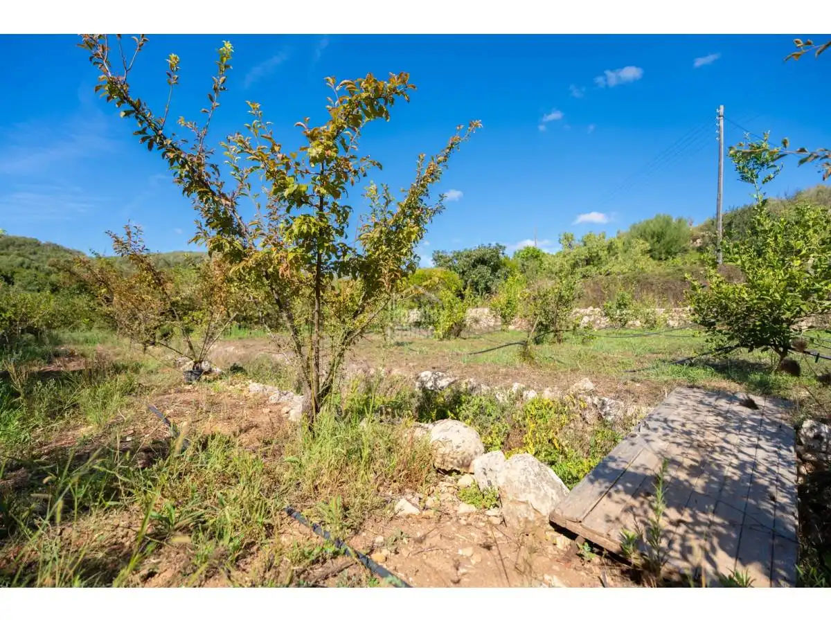 Maison rustique avec jardin à vendre à Alaior poble, imagen 17